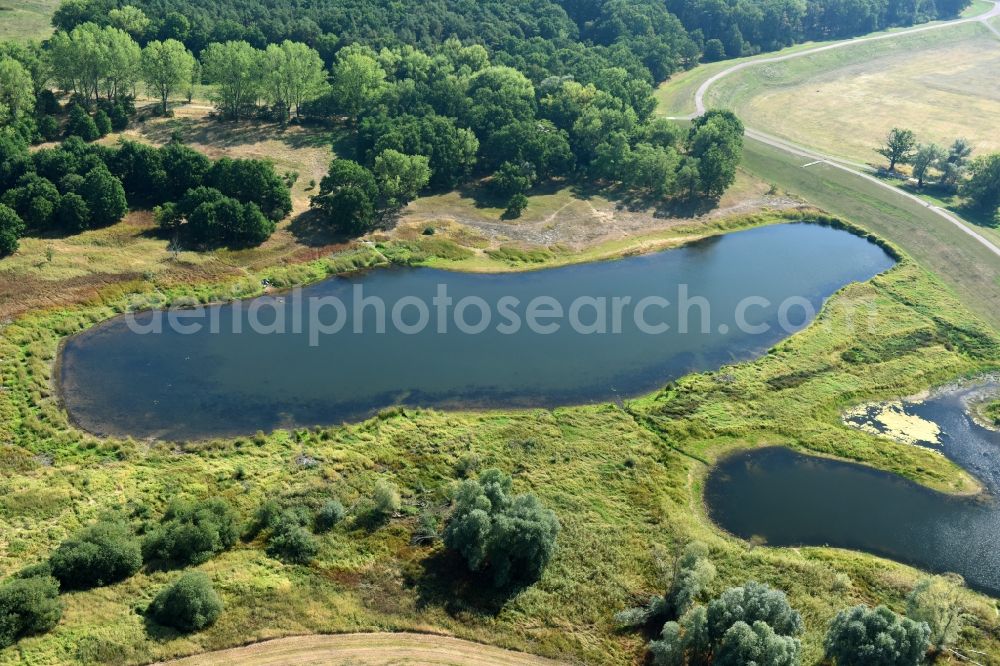 Schönhausen (Elbe) from the bird's eye view: Riparian areas of the lake Neues Wiel near Schoenhausen (Elbe) in the state Saxony-Anhalt