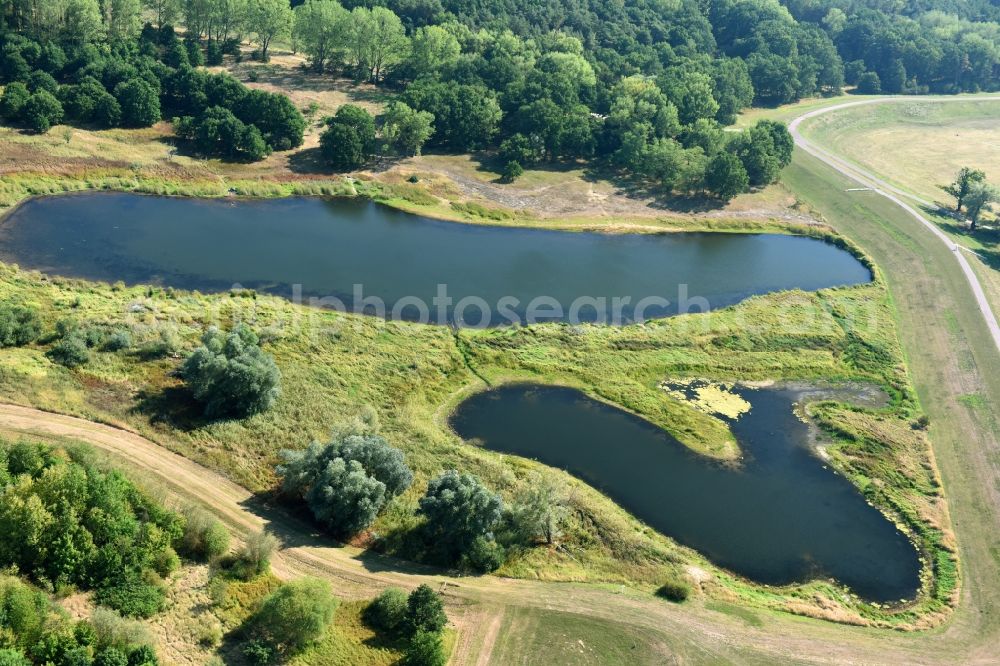 Aerial image Schönhausen (Elbe) - Riparian areas of the lake Neues Wiel near Schoenhausen (Elbe) in the state Saxony-Anhalt