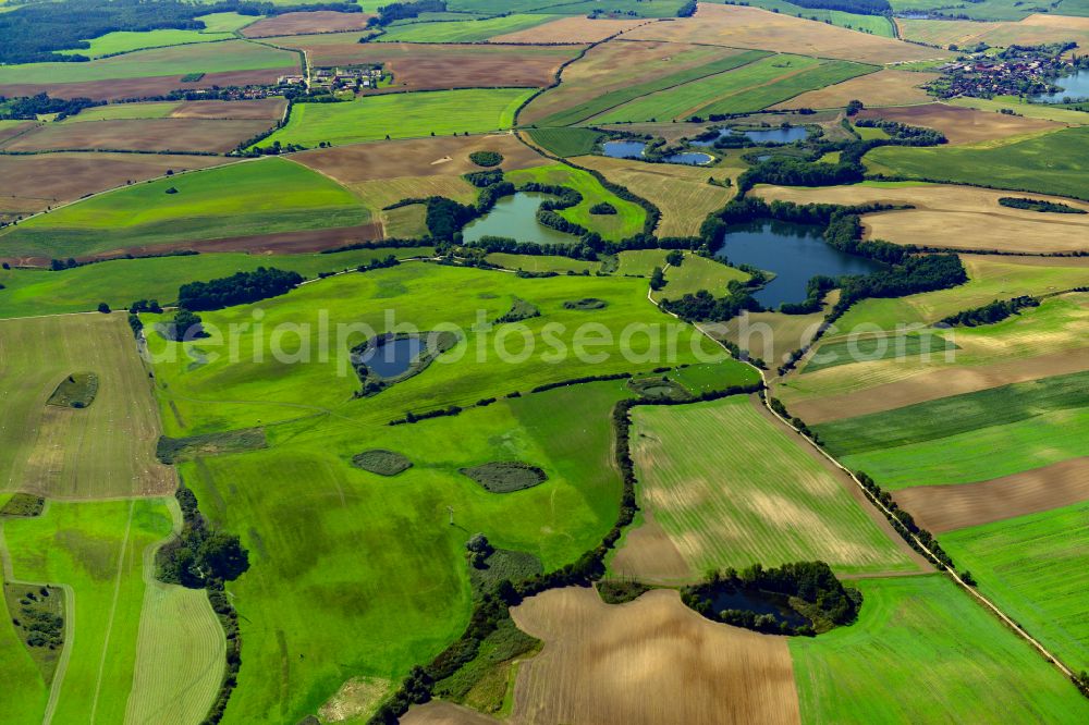 Schwedt/Oder from the bird's eye view: Riparian areas on the lake area of Pagelssee and Briesensee in Schwedt/Oder in the Uckermark in the state Brandenburg, Germany