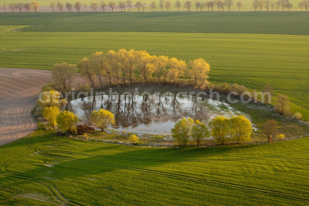 Niederer Fläming from above - Riparian areas on the lake area of Roete in Niederer Flaeming in the state Brandenburg