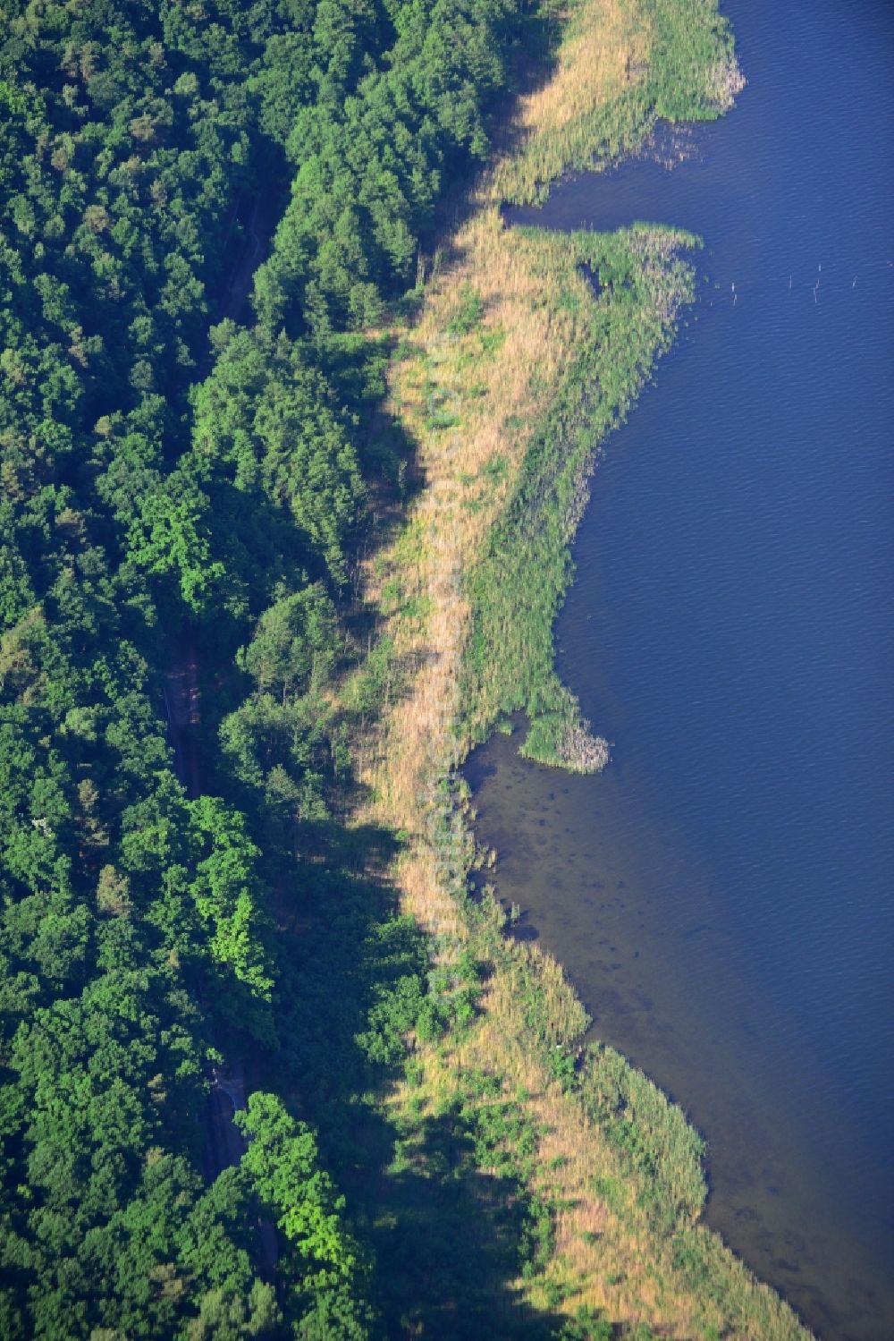 Petzow from above - Riparian areas on the lake area of Schwielowsee in Petzow in the state Brandenburg