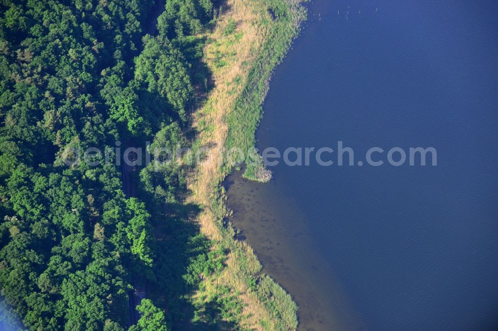 Petzow from the bird's eye view: Riparian areas on the lake area of Schwielowsee in Petzow in the state Brandenburg