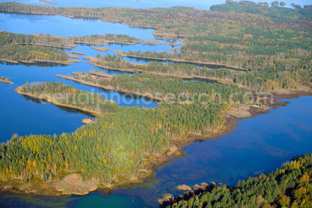 Großkoschen from the bird's eye view: Riparian areas on the lake area of Senftenberger See in Grosskoschen in the state Brandenburg, Germany