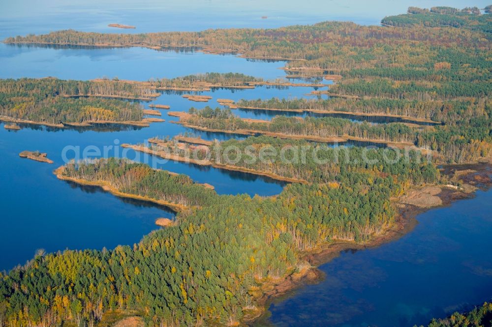 Aerial image Großkoschen - Riparian areas on the lake area of Senftenberger See in Grosskoschen in the state Brandenburg, Germany