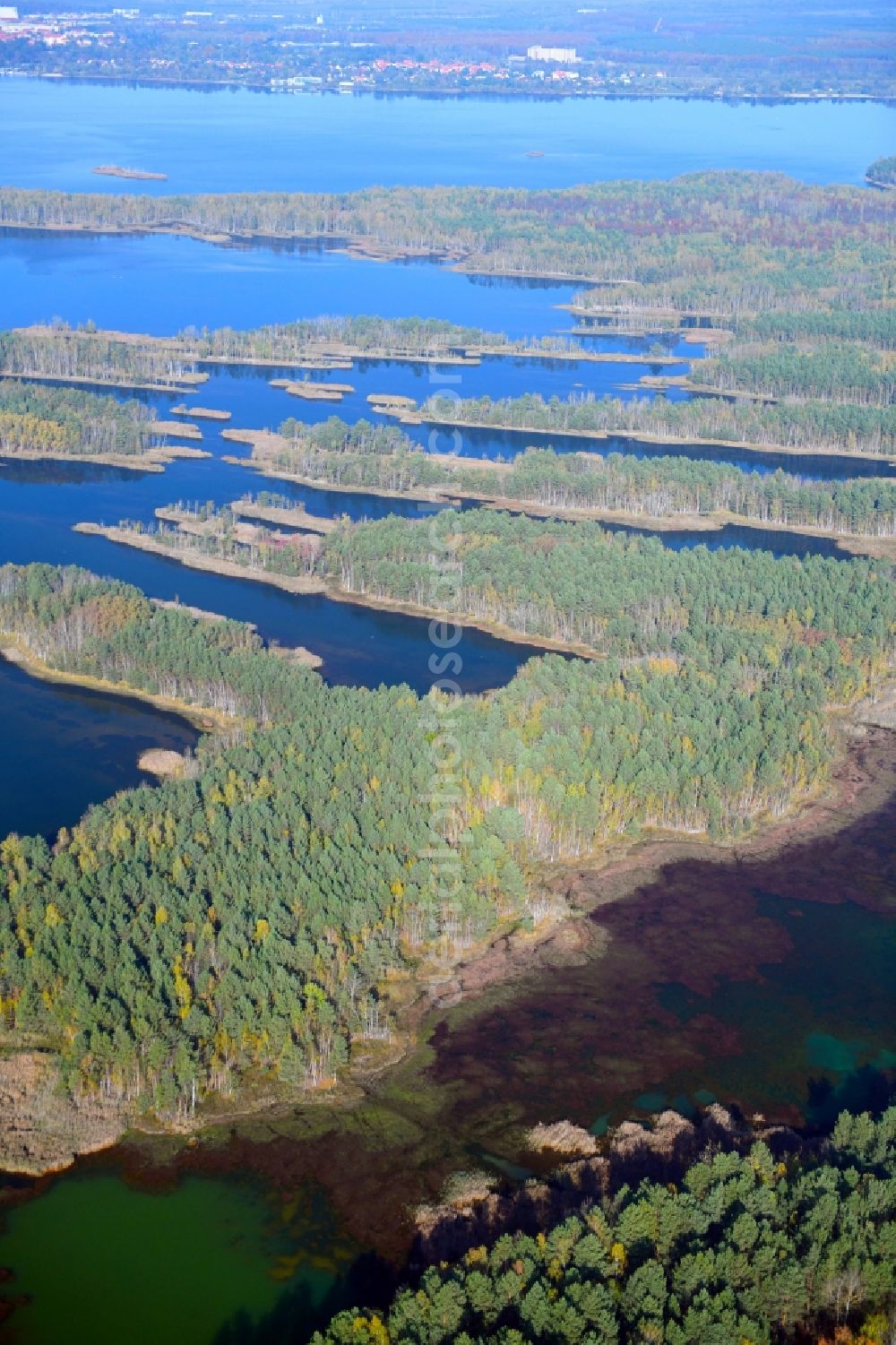 Aerial photograph Großkoschen - Riparian areas on the lake area of Senftenberger See in Grosskoschen in the state Brandenburg, Germany