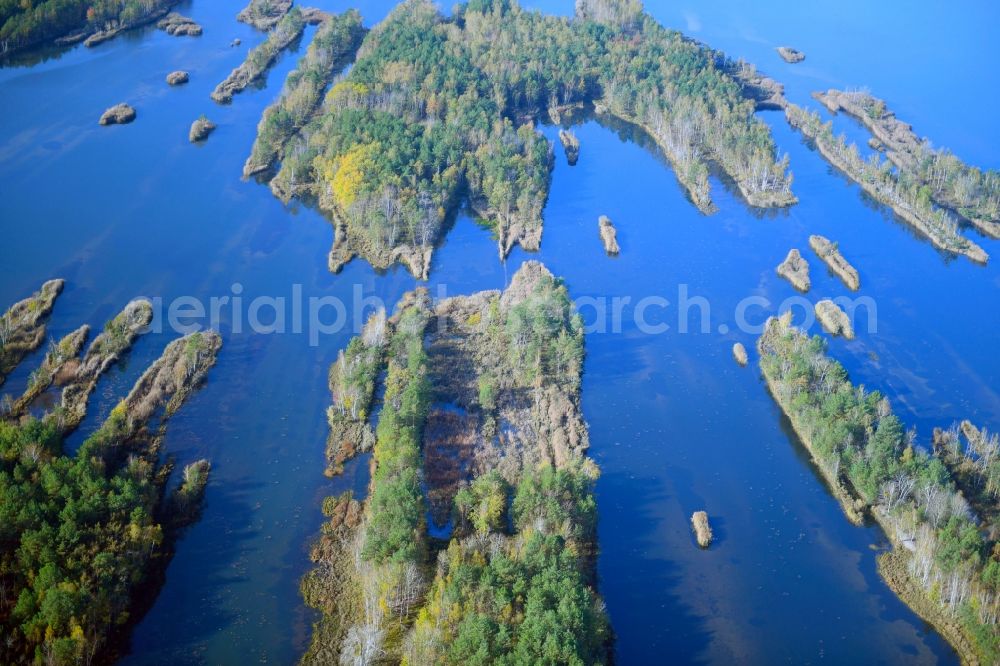 Aerial photograph Großkoschen - Riparian areas on the lake area of Senftenberger See in Grosskoschen in the state Brandenburg, Germany