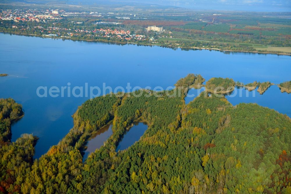 Aerial image Großkoschen - Riparian areas on the lake area of Senftenberger See in Grosskoschen in the state Brandenburg, Germany