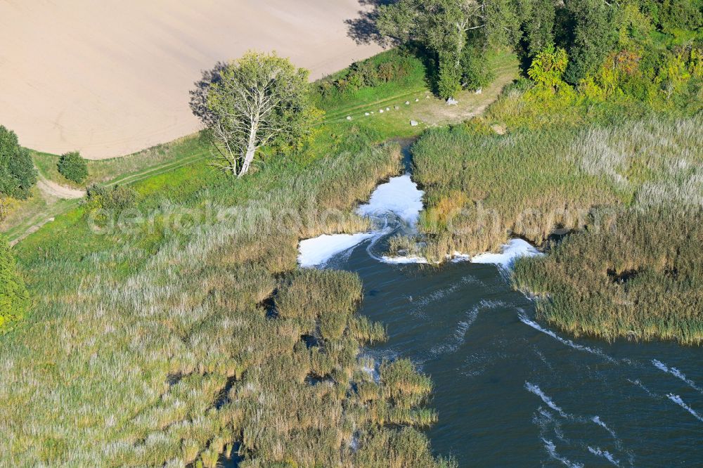 Aerial image Dargen - Riparian areas on the lake area of Stettiner Haff in the district Neverow in Dargen in the state Mecklenburg - Western Pomerania, Germany