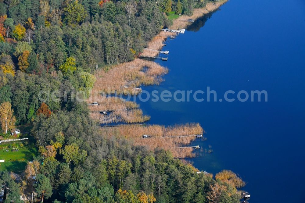 Aerial photograph Stolzenhagen - Riparian areas on the lake area of Stolzenhagener See in Stolzenhagen in the state Brandenburg, Germany