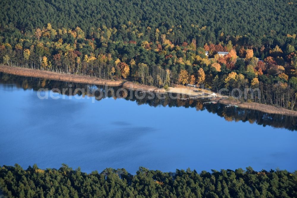 Grünheide (Mark) from above - Riparian areas on the lake area of Stoeritzsee in Gruenheide (Mark) in the state Brandenburg