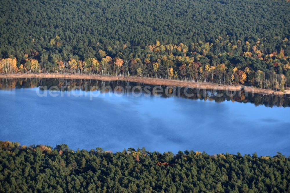 Grünheide (Mark) from the bird's eye view: Riparian areas on the lake area of Stoeritzsee in Gruenheide (Mark) in the state Brandenburg