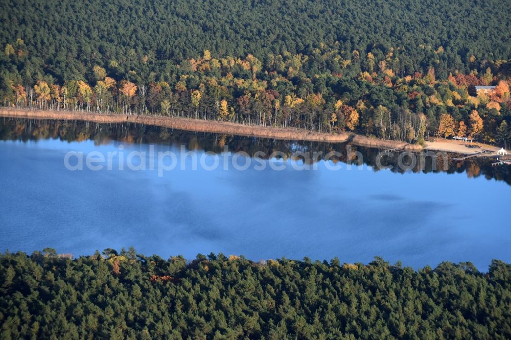 Aerial image Grünheide (Mark) - Riparian areas on the lake area of Stoeritzsee in Gruenheide (Mark) in the state Brandenburg