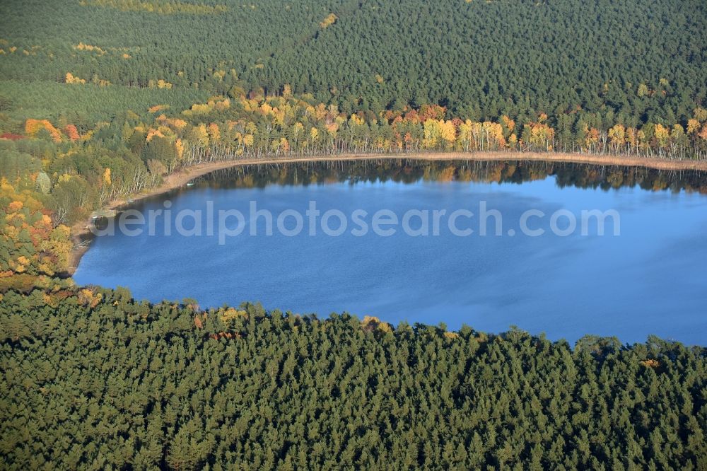 Aerial photograph Grünheide (Mark) - Riparian areas on the lake area of Stoeritzsee in Gruenheide (Mark) in the state Brandenburg