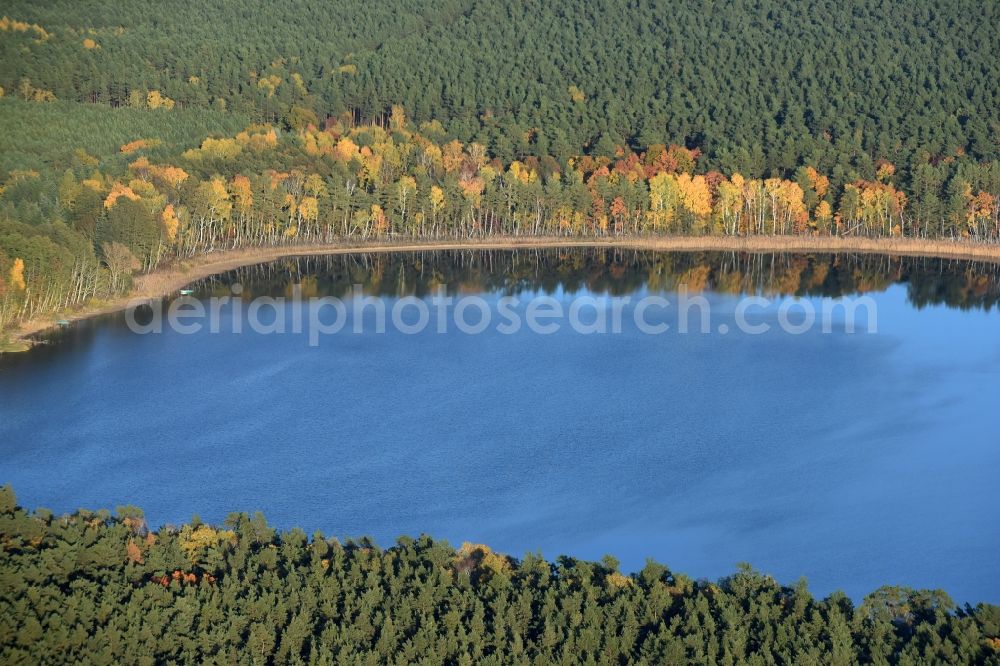 Grünheide (Mark) from above - Riparian areas on the lake area of Stoeritzsee in Gruenheide (Mark) in the state Brandenburg