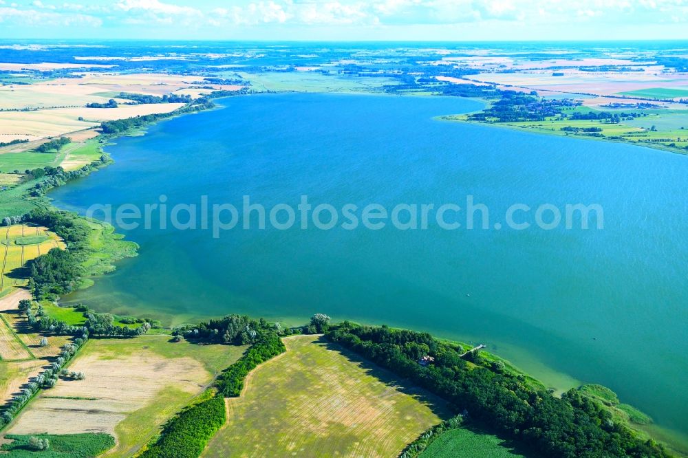 Prenzlau from above - Riparian areas on the lake area of Unteruckersee in Prenzlau in the state Brandenburg, Germany