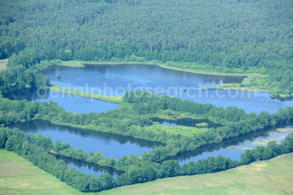 Aerial photograph Leiferde - Riparian areas on the lake area of Viehmoor in Leiferde in the state Lower Saxony