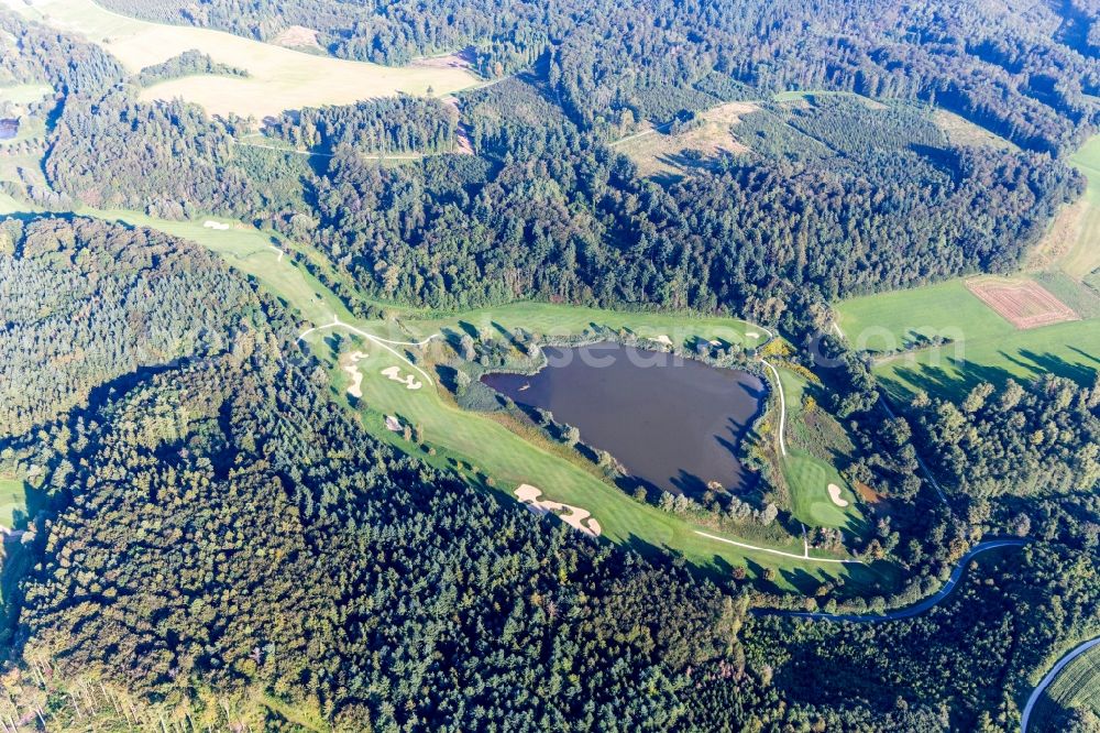 Orsingen-Nenzingen from the bird's eye view: Riparian areas on the lake area of Weitennied in Orsingen-Nenzingen in the state Baden-Wuerttemberg, Germany