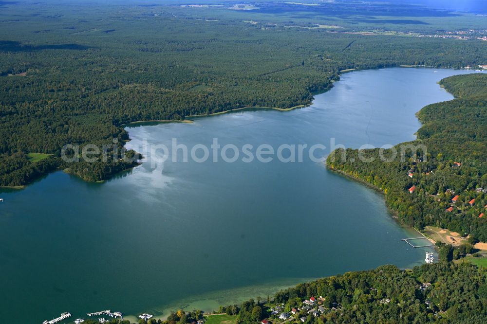 Aerial photograph Werbellinsee - Riparian areas on the lake area of Werbellinsee in Werbellinsee in the state Brandenburg, Germany