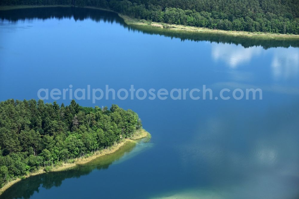 Aerial image Paulshorst - Riparian areas on the lake area of Witwesee in Paulshorst in the state Brandenburg