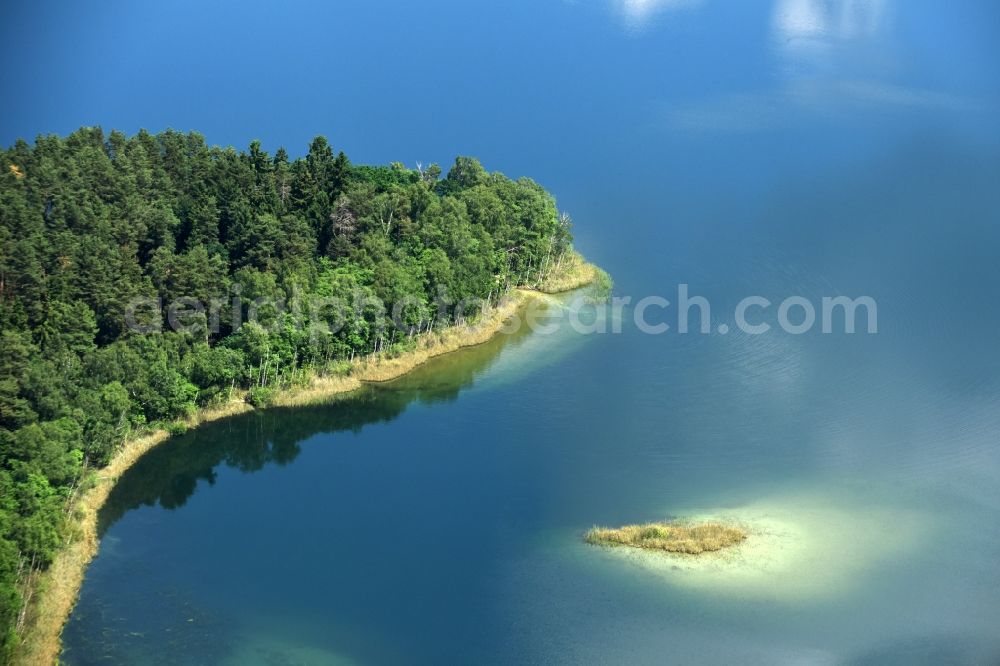 Aerial photograph Paulshorst - Riparian areas on the lake area of Witwesee in Paulshorst in the state Brandenburg