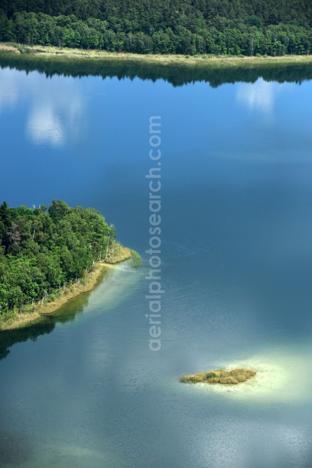 Aerial image Paulshorst - Riparian areas on the lake area of Witwesee in Paulshorst in the state Brandenburg