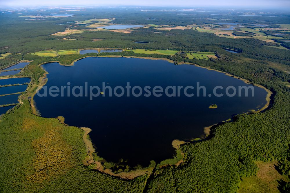 Aerial photograph Rechlin - Riparian areas on the lake area of Woterfitzsee in a forest area in Rechlin in the state Mecklenburg - Western Pomerania, Germany
