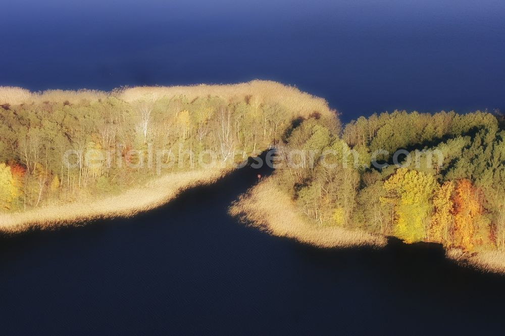 Lychen from the bird's eye view: Riparian areas on the lake area of Zenssee in Lychen in the state Brandenburg