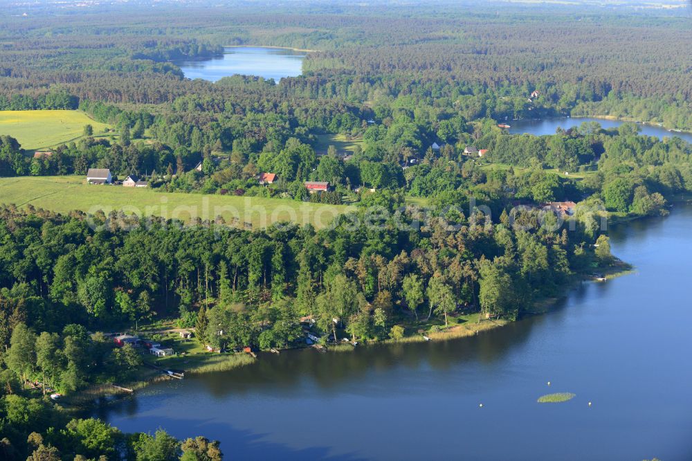 Aerial photograph Krangen - Riparian areas on the lake area of Zermuetzelsee in a forest area in Krangen in the state Brandenburg, Germany