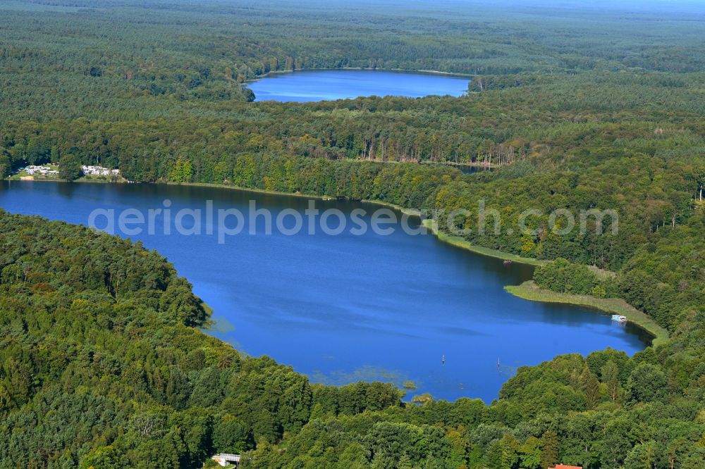 Aerial photograph Krangen - Riparian areas on the lake area of Zermuetzelsee in a forest area in Krangen in the state Brandenburg, Germany