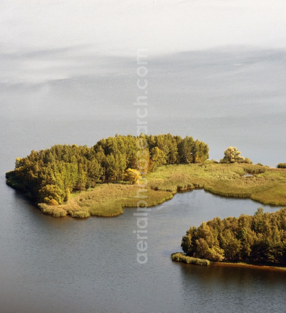 Aerial photograph Senftenberg - Riparian areas on the lake area of Senftenberger See in Senftenberg in the state Brandenburg