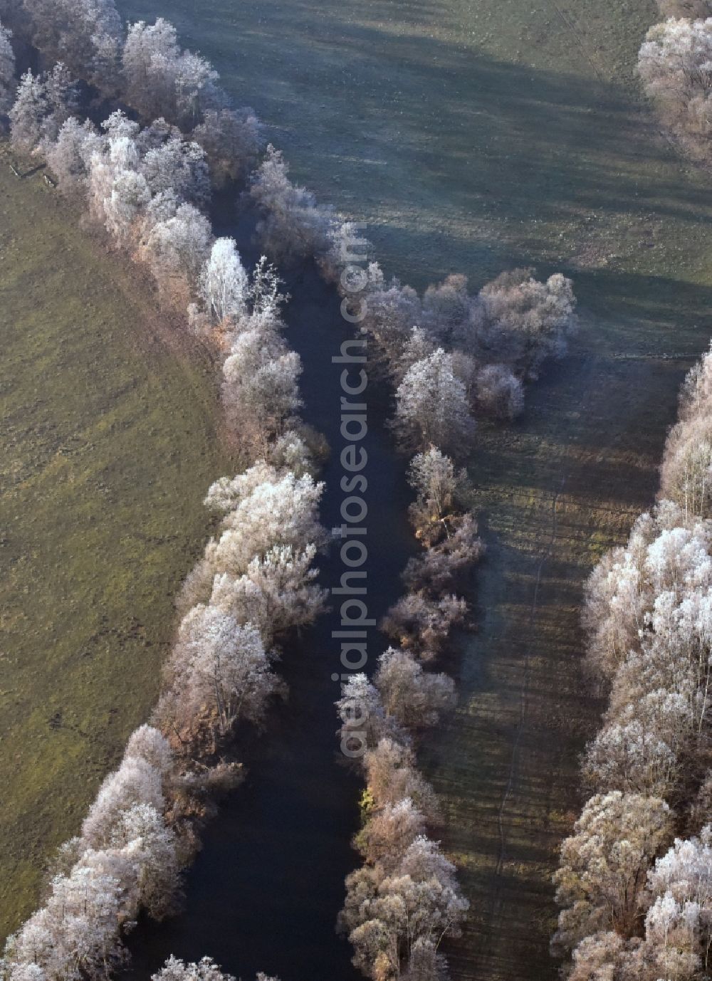 Neu Zittau from above - Curved loop of the riparian zones on the course of the river the Spree with winter rime in the tree tops in Neu Zittau in the state Brandenburg