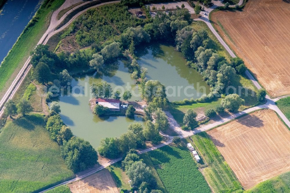 Rheinhausen from the bird's eye view: Shore areas of the ponds for fish farming Baggersee in Rheinhausen in the state Baden-Wurttemberg, Germany