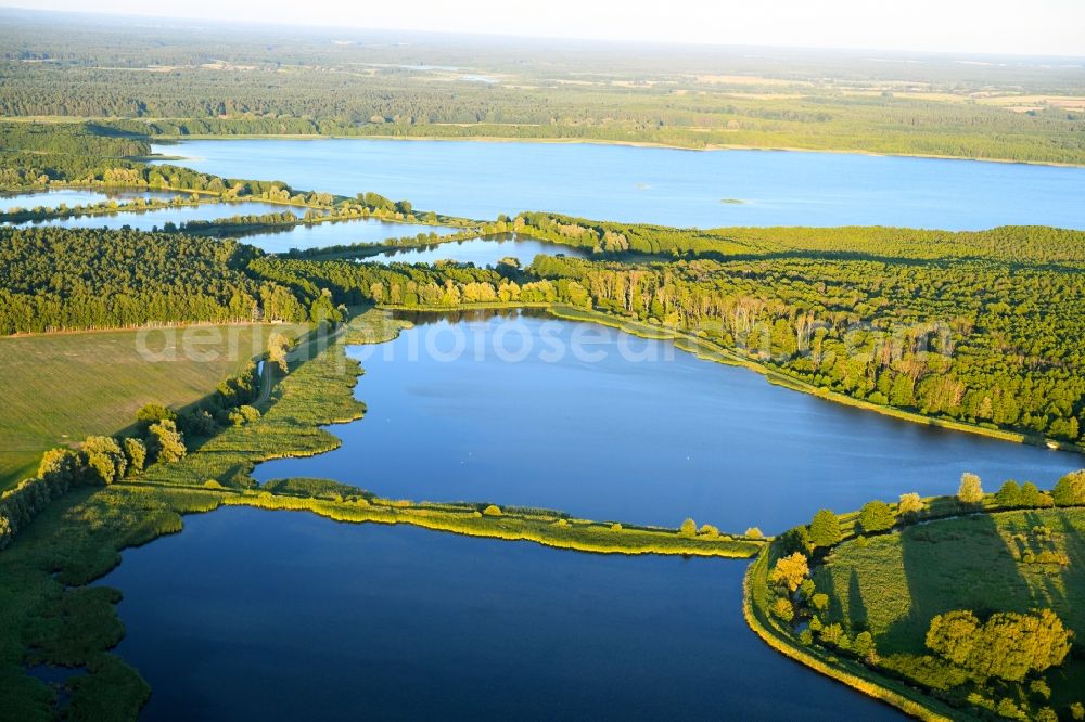 Aerial photograph Boecker Mühle - Shore areas of the ponds for fish farming Caarpsee - Woterfitzsee in Boecker Muehle in the state Mecklenburg - Western Pomerania, Germany