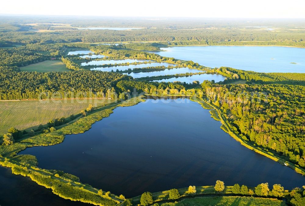 Boecker Mühle from the bird's eye view: Shore areas of the ponds for fish farming Caarpsee - Woterfitzsee in Boecker Muehle in the state Mecklenburg - Western Pomerania, Germany