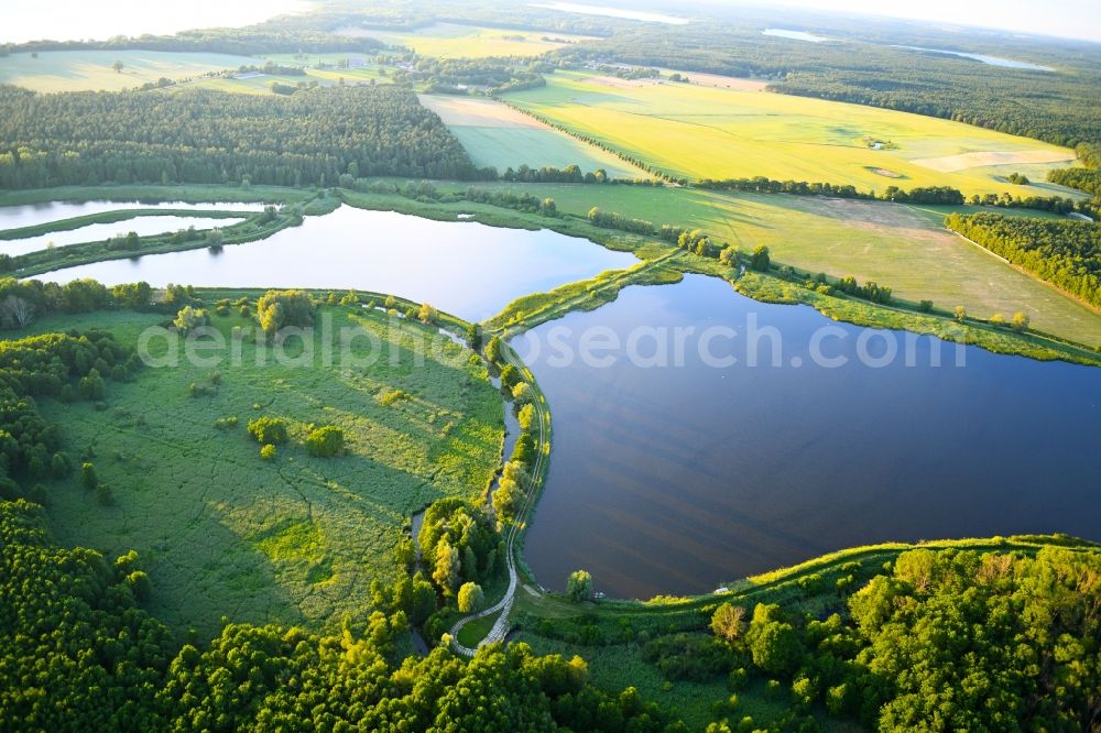 Aerial image Boecker Mühle - Shore areas of the ponds for fish farming Caarpsee - Woterfitzsee in Boecker Muehle in the state Mecklenburg - Western Pomerania, Germany