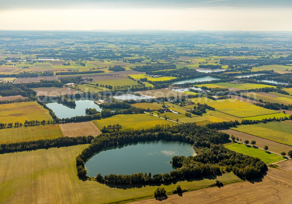 Delbrück from above - Bank areas of ponds for fish farming surrounded by agricultural fields on street Grimpenburg in Delbrueck in the state North Rhine-Westphalia, Germany