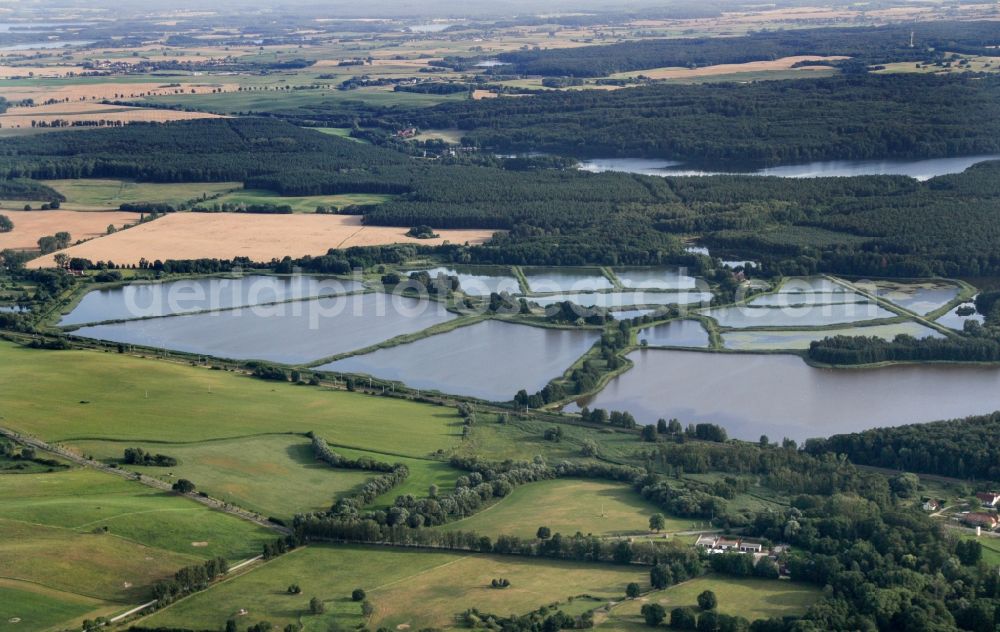 Angermünde from the bird's eye view: Shore areas of the ponds for fish farming Fischteiche Blumberger Muehle in Angermuende in the state Brandenburg