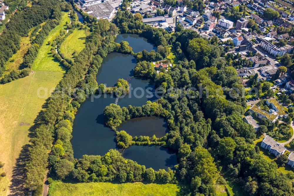 Gevelsberg from the bird's eye view: Shore areas of the ponds for fish farming on Honmerteich in the district Gevelsberg in Gevelsberg in the state North Rhine-Westphalia, Germany