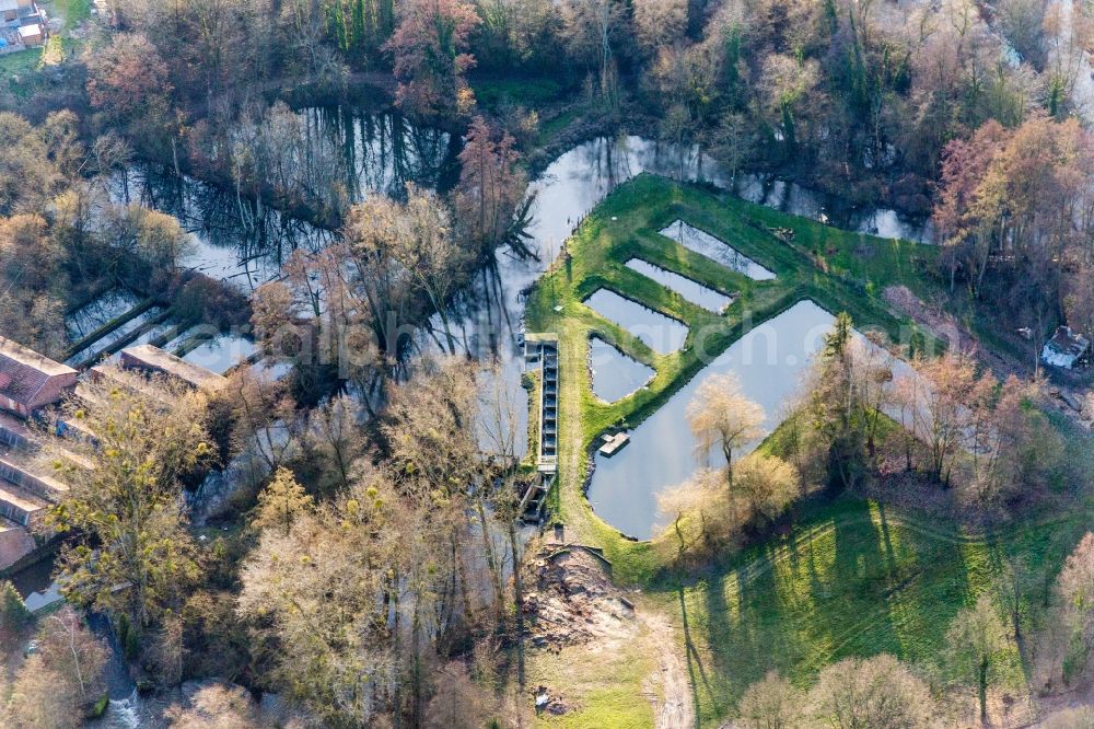 Aerial photograph Scheibenhard - Shore areas of the ponds for fish farming on Lauter in Scheibenhard in Grand Est, France