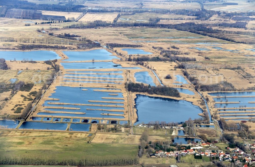 Aerial image Linum - Shore areas of the ponds for fish farming in Linum in the state Brandenburg, Germany