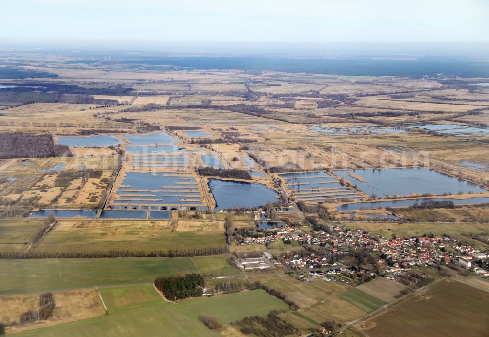 Aerial photograph Linum - Shore areas of the ponds for fish farming in Linum in the state Brandenburg, Germany