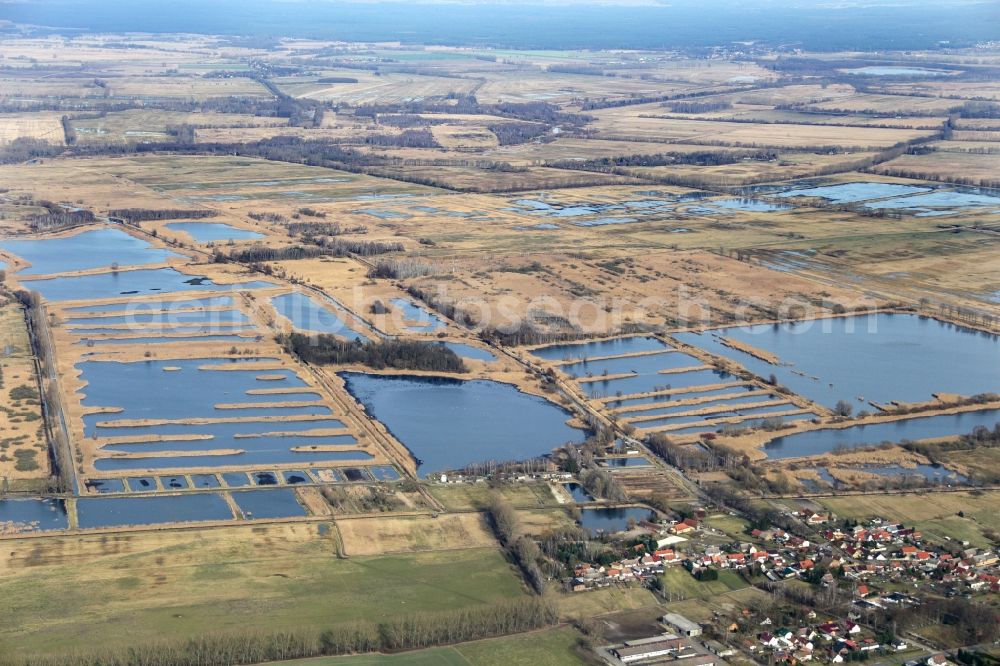 Linum from the bird's eye view: Shore areas of the ponds for fish farming in Linum in the state Brandenburg, Germany