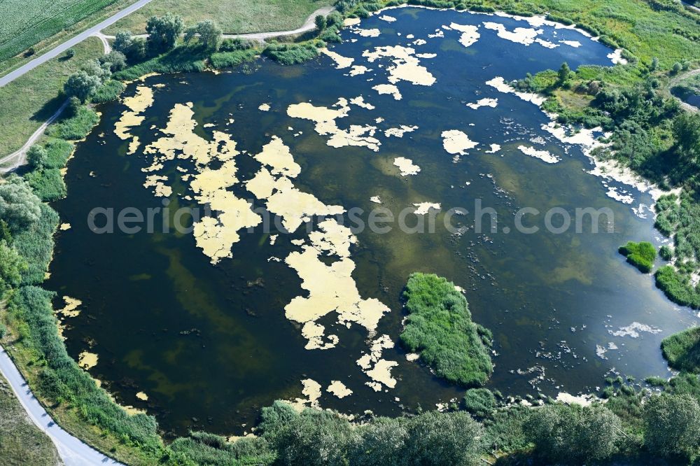 Aerial photograph Passow - Shore areas of the ponds for fish farming in Passow in the state Brandenburg, Germany