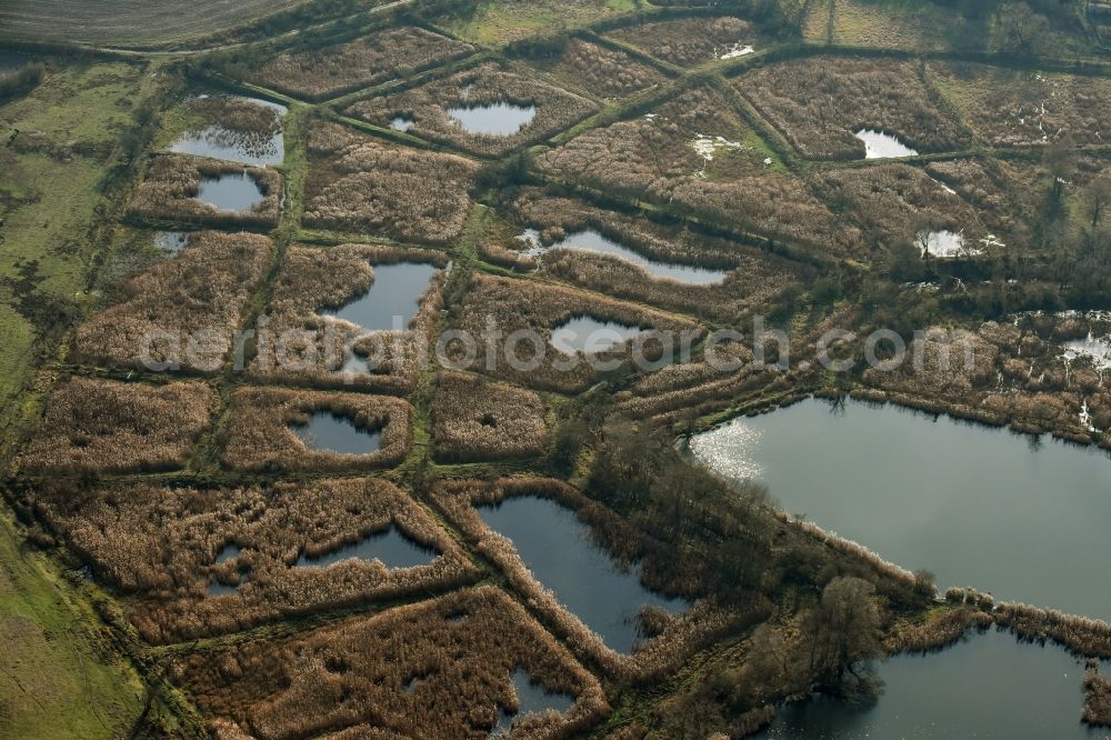 Aerial photograph Mönchmühle - Shore areas of the ponds for fish farming Schoenerlinder Teiche in Moenchmuehle in the state Brandenburg