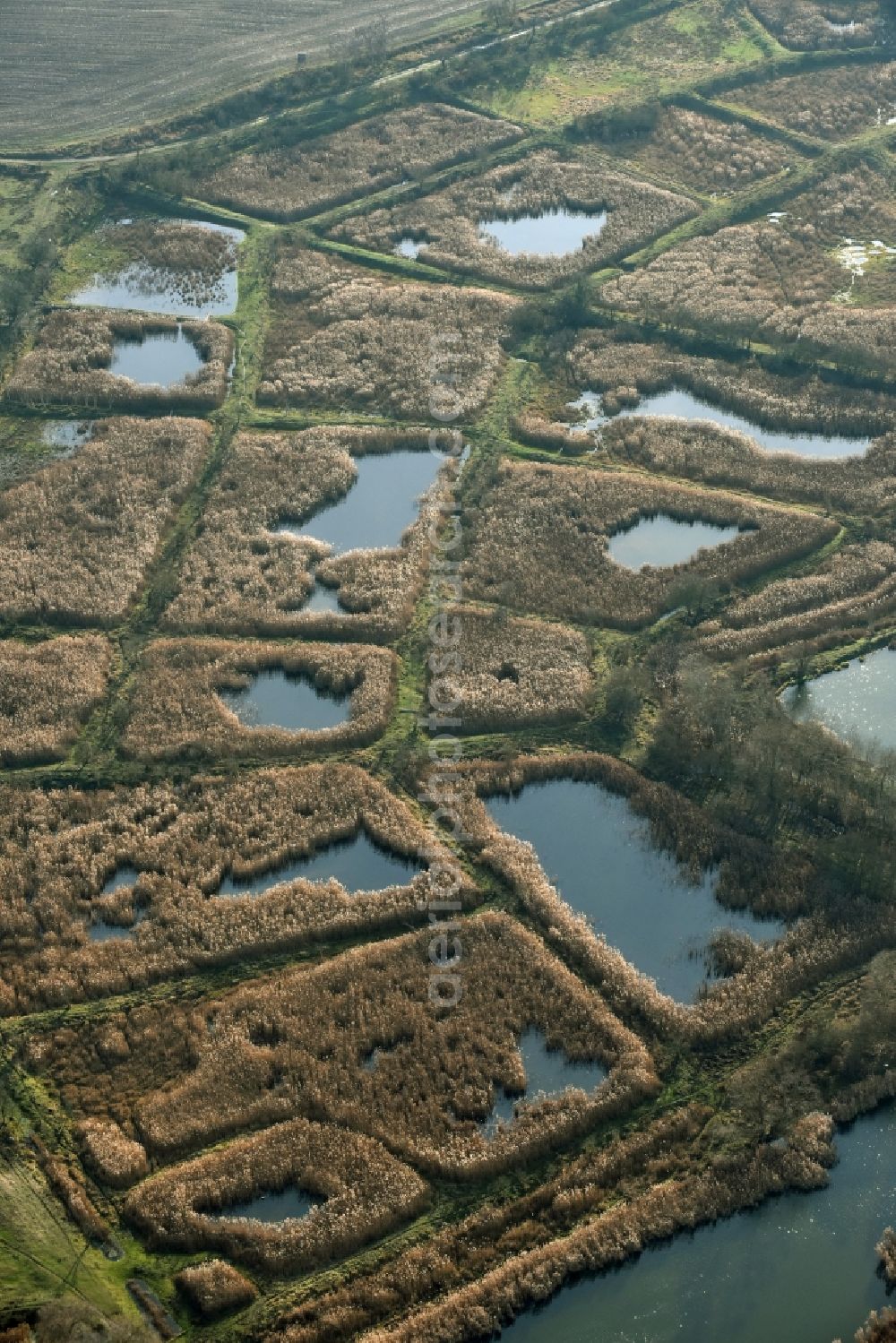 Mönchmühle from above - Shore areas of the ponds for fish farming Schoenerlinder Teiche in Moenchmuehle in the state Brandenburg