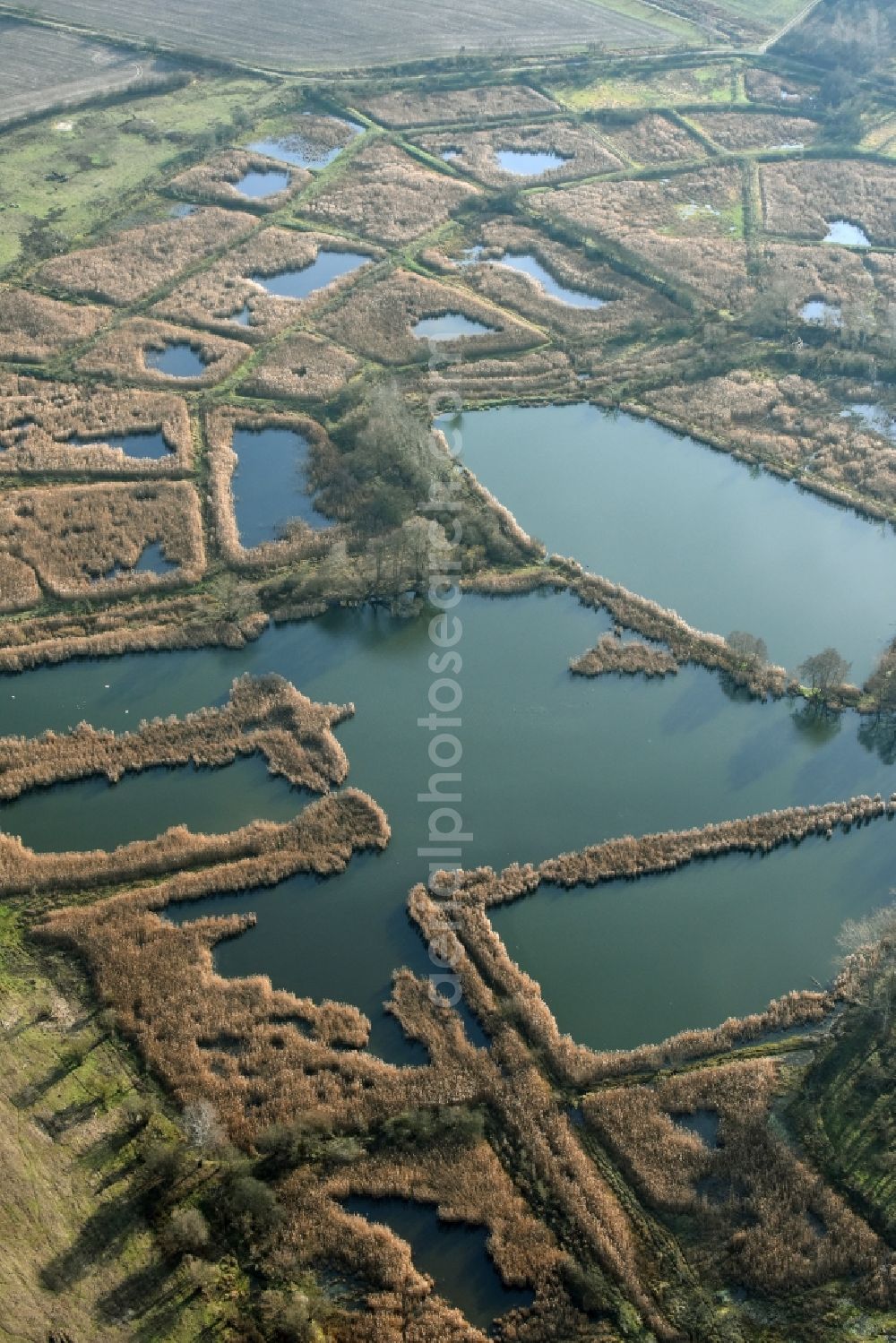 Aerial image Mönchmühle - Shore areas of the ponds for fish farming Schoenerlinder Teiche in Moenchmuehle in the state Brandenburg