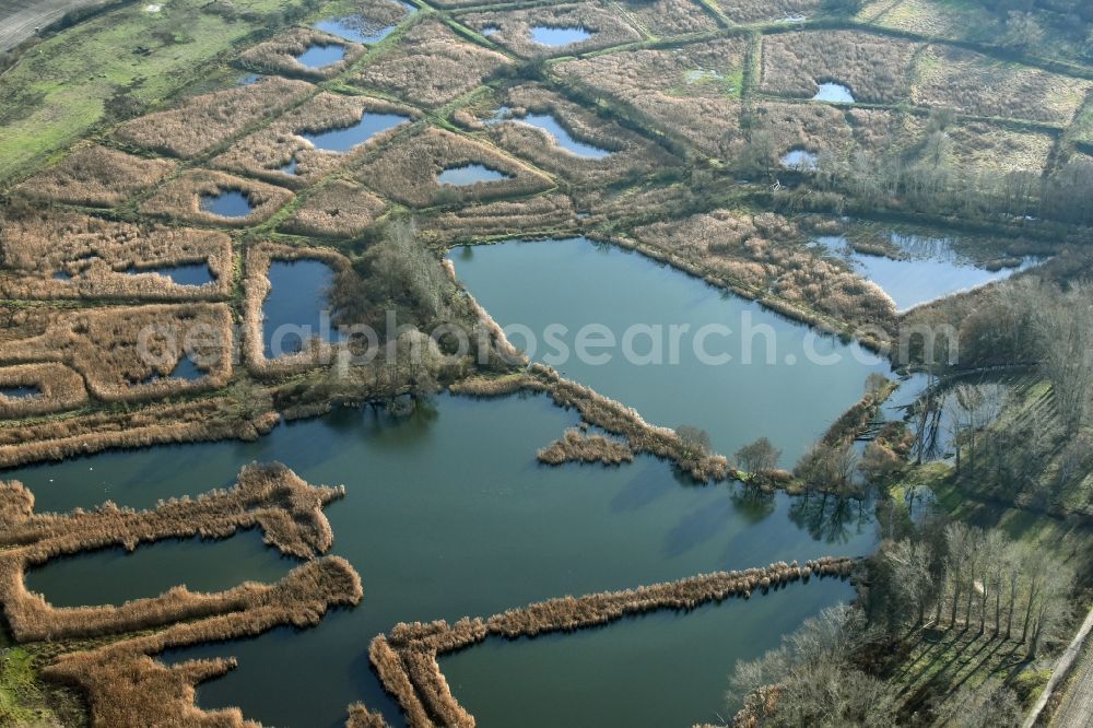 Aerial photograph Mönchmühle - Shore areas of the ponds for fish farming Schoenerlinder Teiche in Moenchmuehle in the state Brandenburg