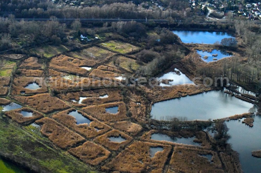 Mühlenbecker Land from the bird's eye view: Shore areas of the ponds for fish farming Schoenerlinder Teiche in Moenchmuehle in the state Brandenburg