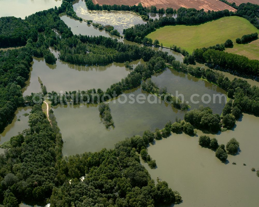 Aerial photograph Wülknitz - Shore areas of the ponds for fish farming in Wuelknitz in the state Saxony, Germany