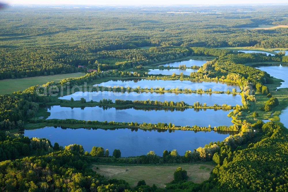 Aerial image Rechlin - Shore areas of the ponds for fish farming on Woterfitzsee in Rechlin in the state Mecklenburg - Western Pomerania, Germany